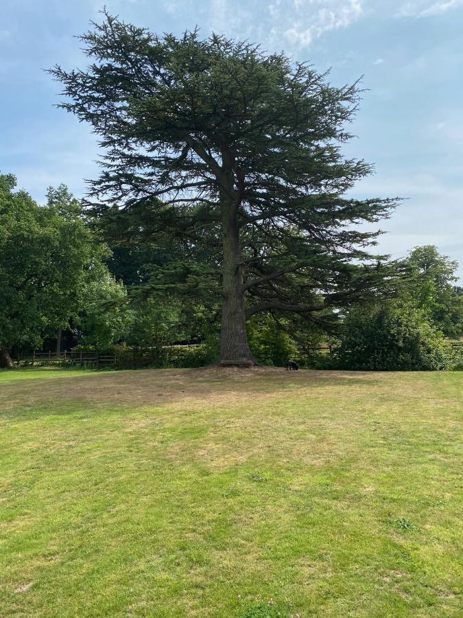 Coundon Lodge Coventry Ngoại thất bức ảnh